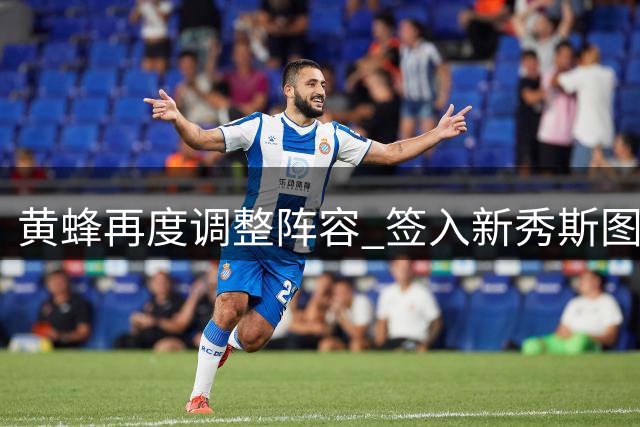 黄蜂再度调整阵容 签入新秀斯图尔特替代乔伊纳